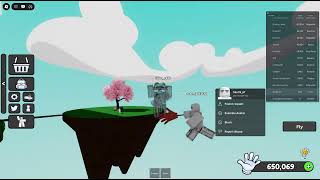 sb hacker fly