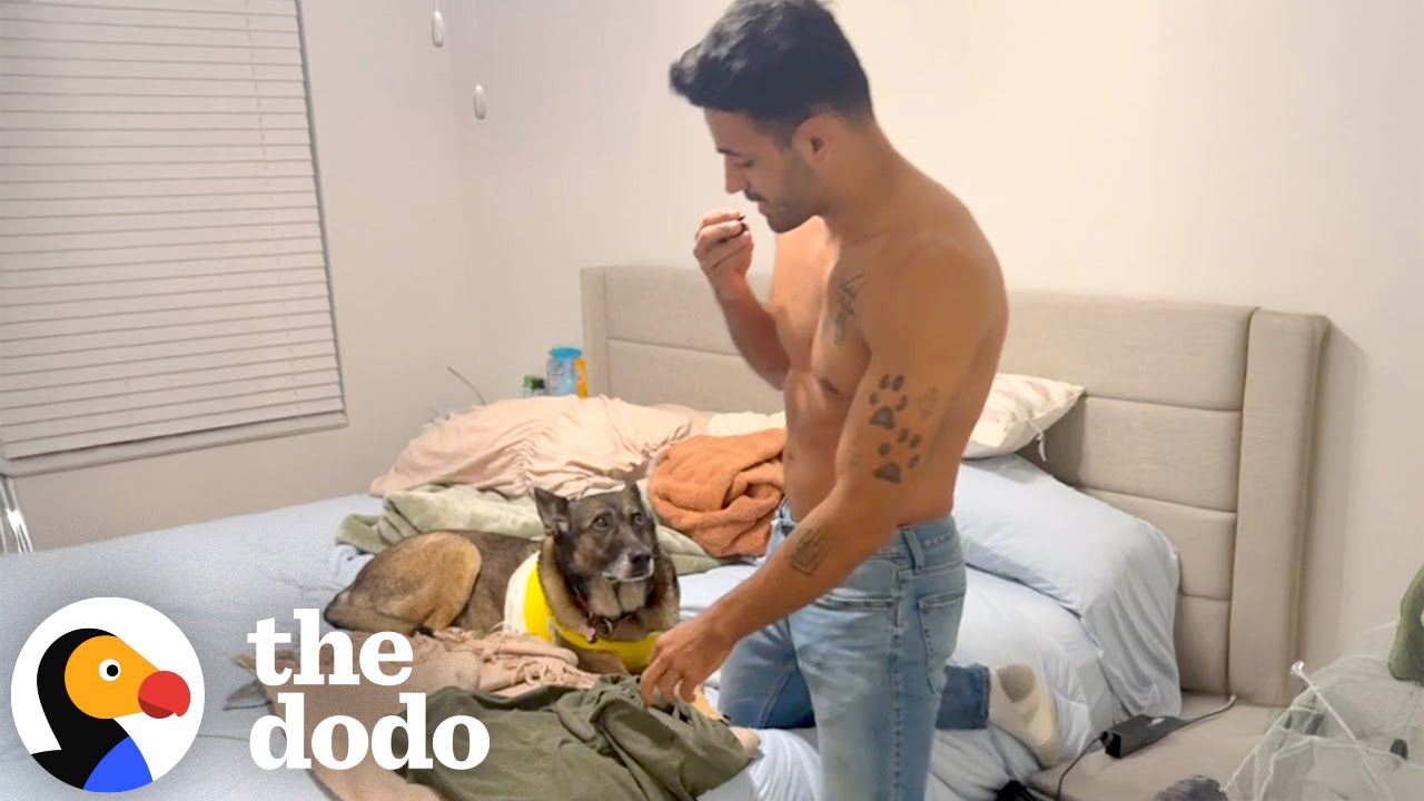 Парня бросили — и он пригласил на свидание настоящую любовь всей своей жизни | The Dodo