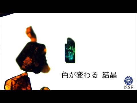 研究紹介#01 「色が変わる結晶」/ 物性研