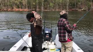 The Easiest Way To Catch White Perch (catching over 100)