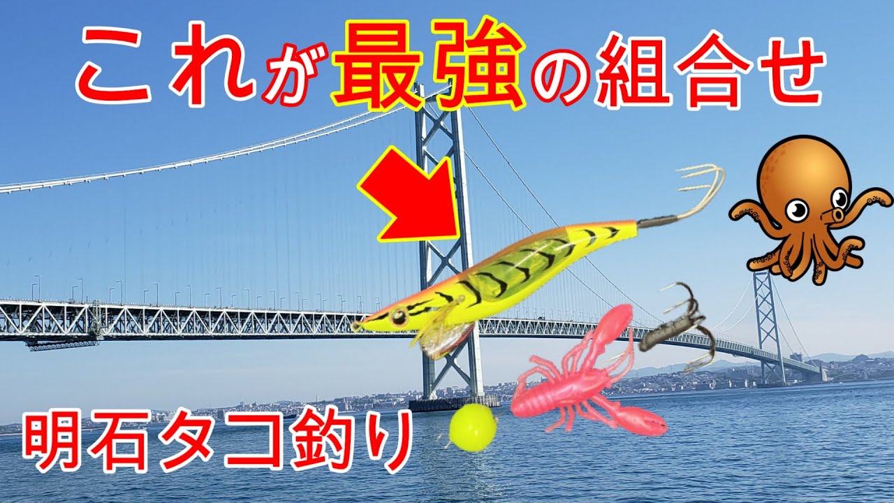 この組合せで爆釣！』明石沖タコ釣り - YouTube