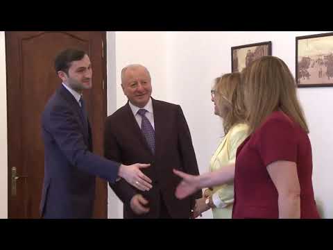 შეხვედრა ისრაელის საგანგებო და სრულუფლებიან ელჩთან