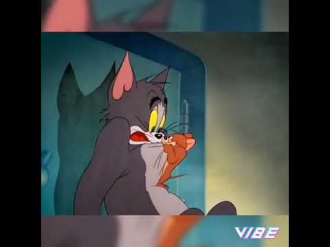 تركيب انمي مع توم وجيري 