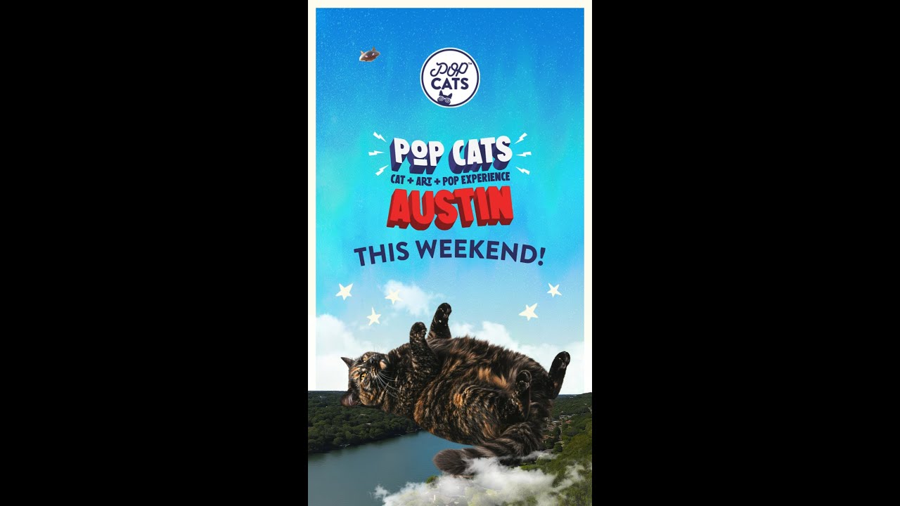 POP Cats hits THIS WEEKEND 😻