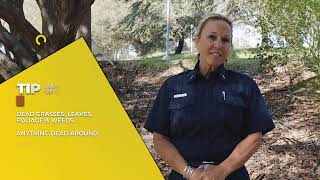 How to Prepare For Wildfire: Tips to Create a Defensible Space