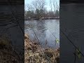 29 марта. Берег речки Пирита.