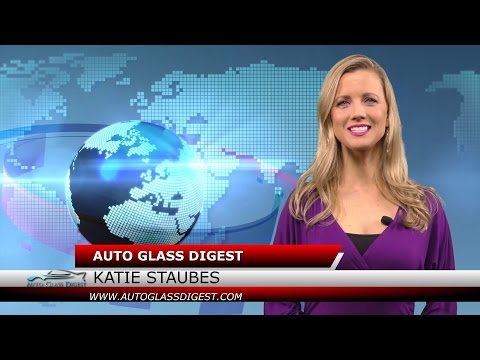 Standard Auto Glass Reviews