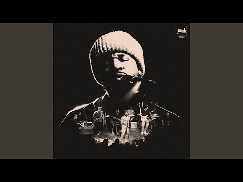 Shelter - David Ryan Harris