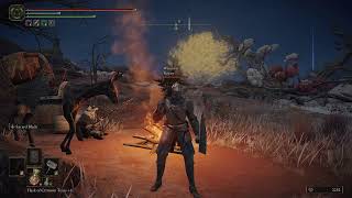 [Linux] Elden Ring Seamless Co-op - Bazzite OS - 8400F - 9060 XT 8GB