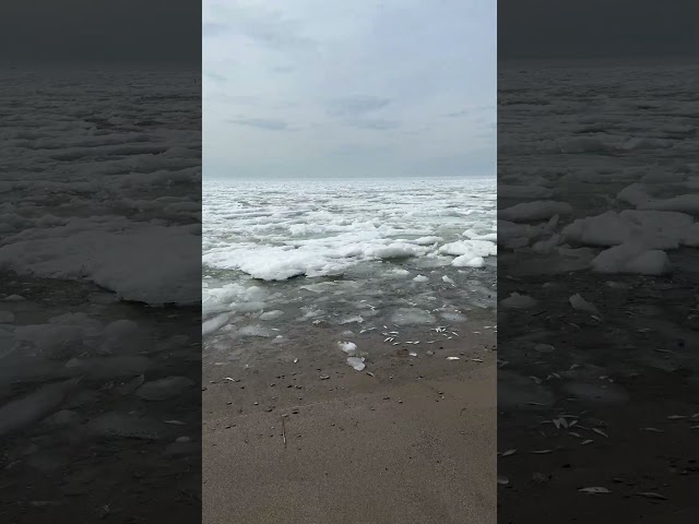 Hiking along the north shore of Lake Erie #lakeerie #northshore #hiking #barefoot #noshoes
