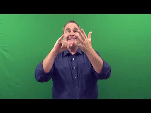 Auslan accessible event - BLEACH* - FOURTEEN, 2024