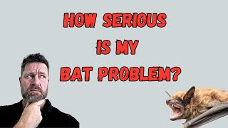 Why It's Hard To Know How Big The Problem Really Is.