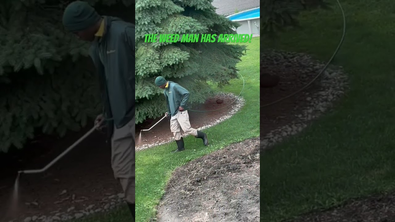 The Weed Man Has Arrived!