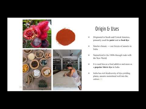 Natural Dye with Annatto