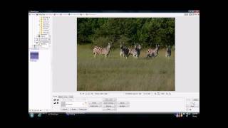 Group Photo (Photo Rendering 002).wmv