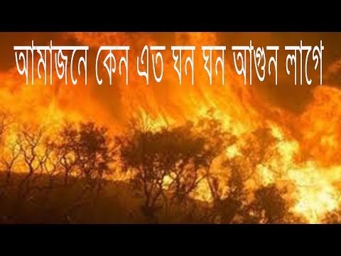 ভিডিও: কেন বনের আগুন লাগে