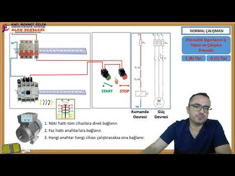 Video: Ticaret - nedir bu? Hayatın farklı alanlarında kavram