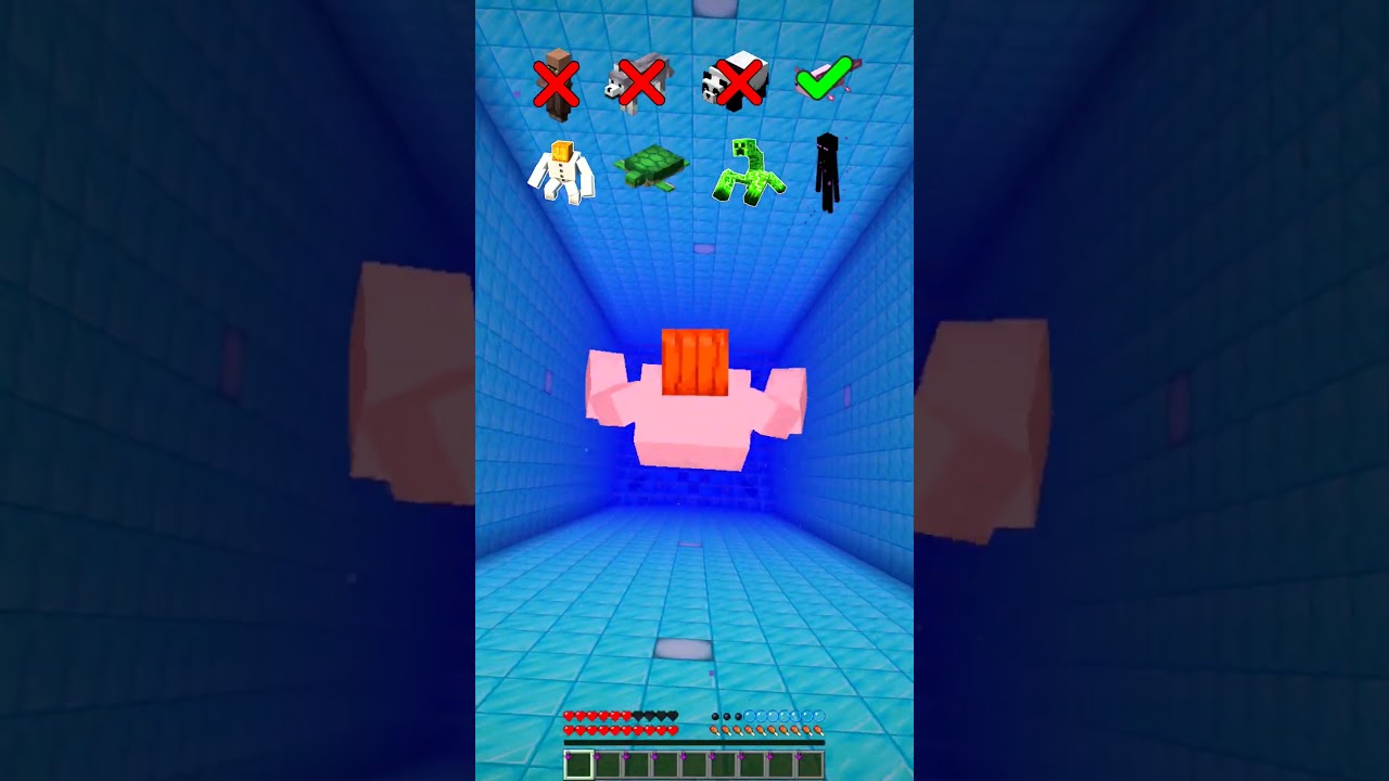 Who Will Survive? 🤔 