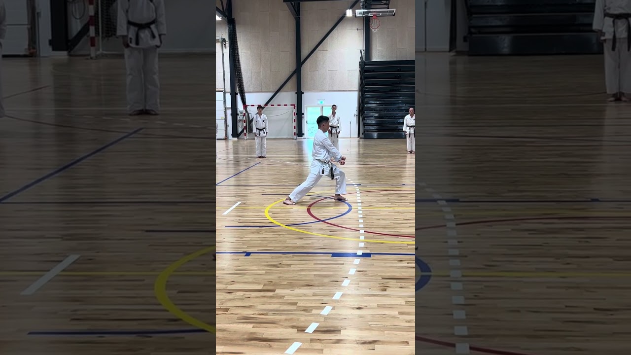 Kata kakuyoko shodan demonstrated and explained by Makita-sensei 