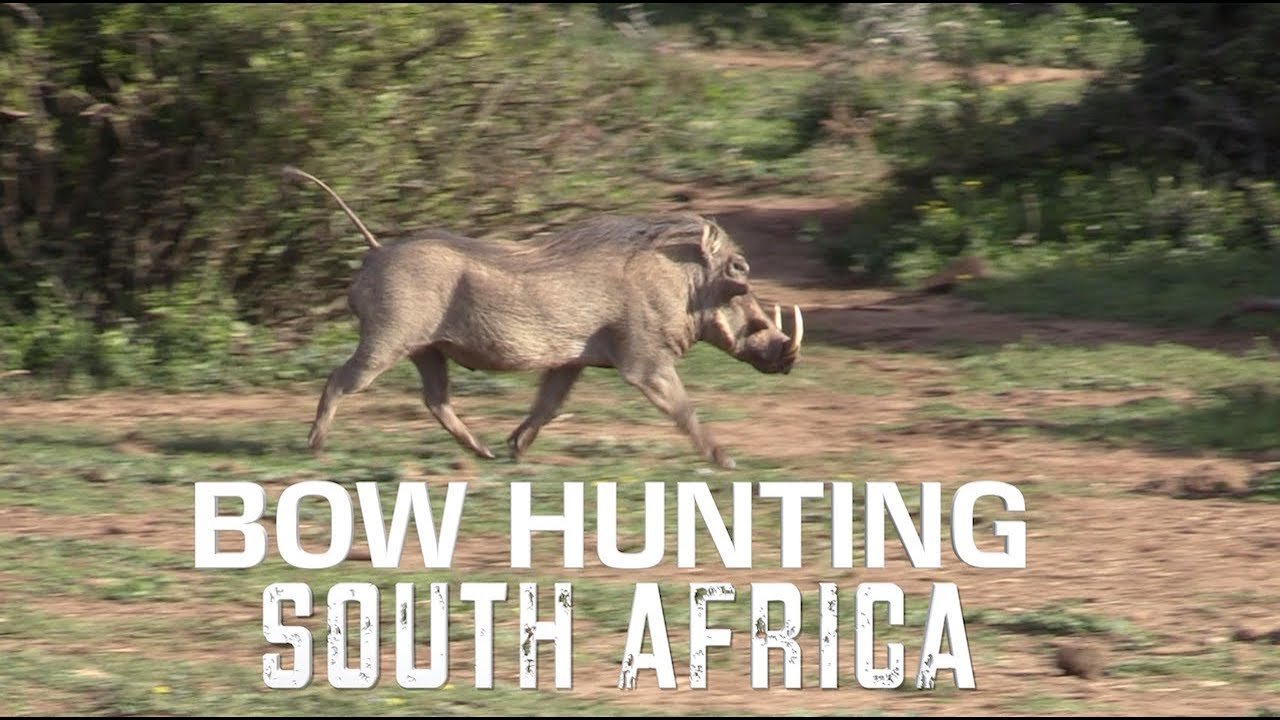 BOW HUNTING South Africa