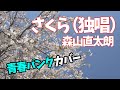 【青春パンク】さくら(独唱)をロックアレンジでカバーしてみた