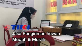 Cara packing & kirim hewan via tiki. SANGAT MUDAHH