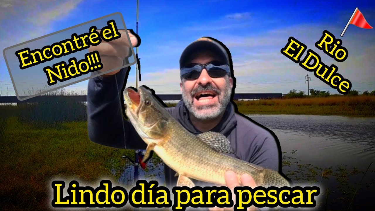 Encontré un lugar lleno de Tarariras!!! //Pesca// Lugar Gratis y accesible!!!