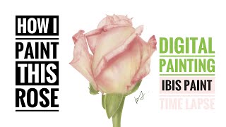 How I paint this rose | Digital painting on ibis paint | Time lapse with descriptions screenshot 3
