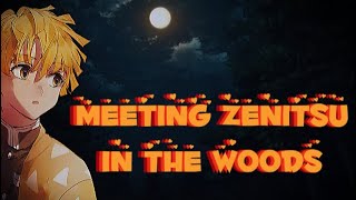 Meeting Zenitsu In The Woods Demon Slayer Zenitsu X Listener