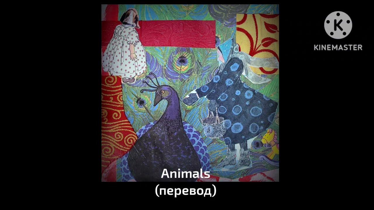 STOMACH BOOK : Animals - Животные (перевод) - YouTube