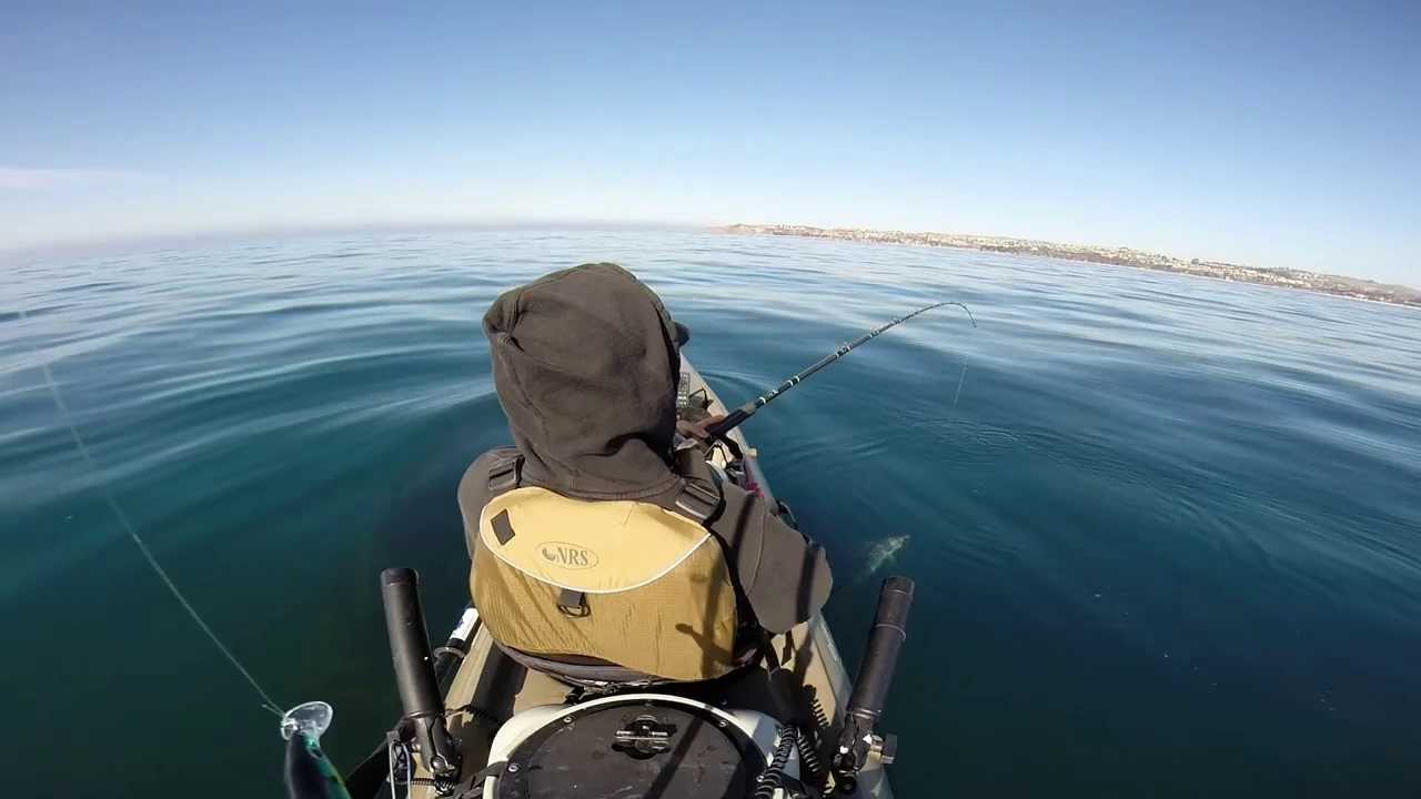 Dana Point Kayak Fishing 2.21.2014 YouTube