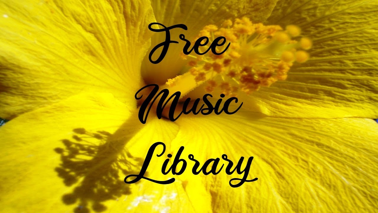 Royalty Free Music Library ♫ 8bit Reggae - Soundroll