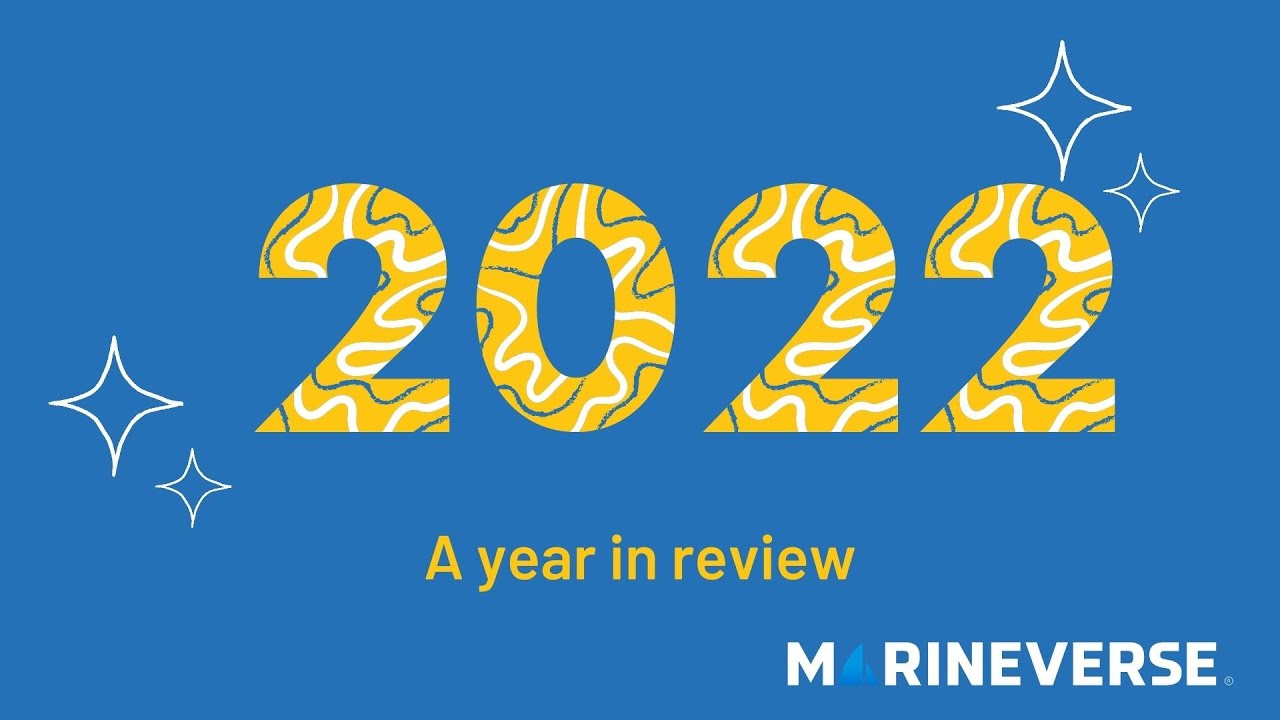 MarineVerse - A year in review ( 2022 )