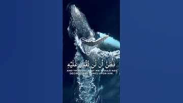 فَنَادَىٰ فِي ٱلظُّلُمَٰتِ..|| تلاوة بصوت القارئ: محمد آل نعيم