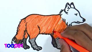 How to Color Little Arctic Fox In Arctic Animals Coloring Page