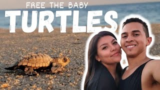 Turtle Release in Cabo San Lucas