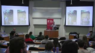 Bad Medicine: Why Different Systems of Organized Crime Demand Different Solutions (Fea