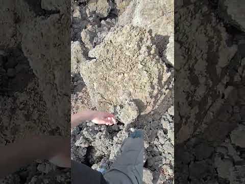 La Palma: Trekking w wulkanicznym pyle