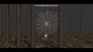 Simulation of Spiderweb and Spider