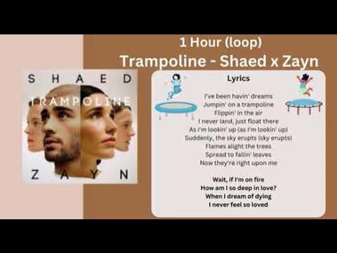 Shaed x Zayn - Trampoline (1 Hour Loop)