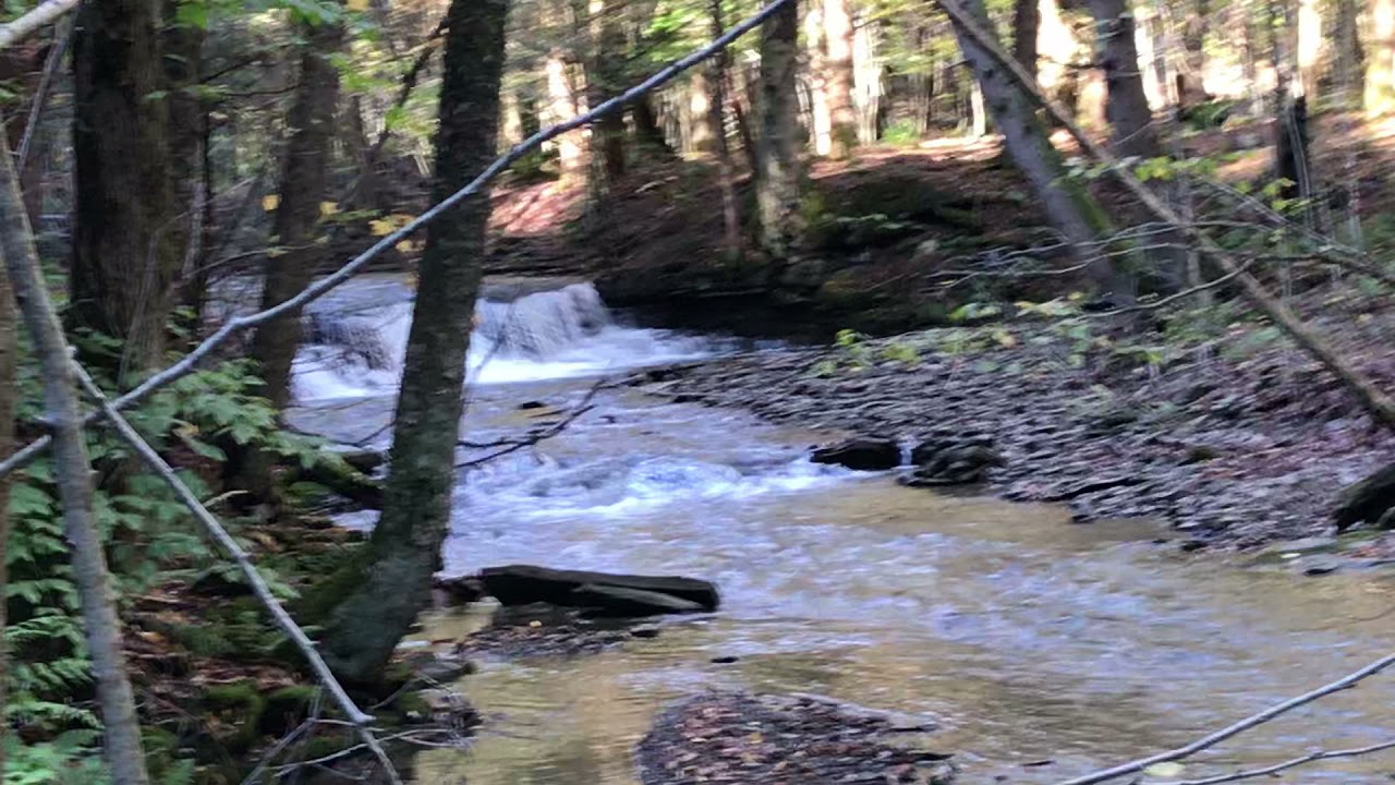 Cabin with Deck and Creek Frontage in North Pitcher NY Hyer Road YouTube