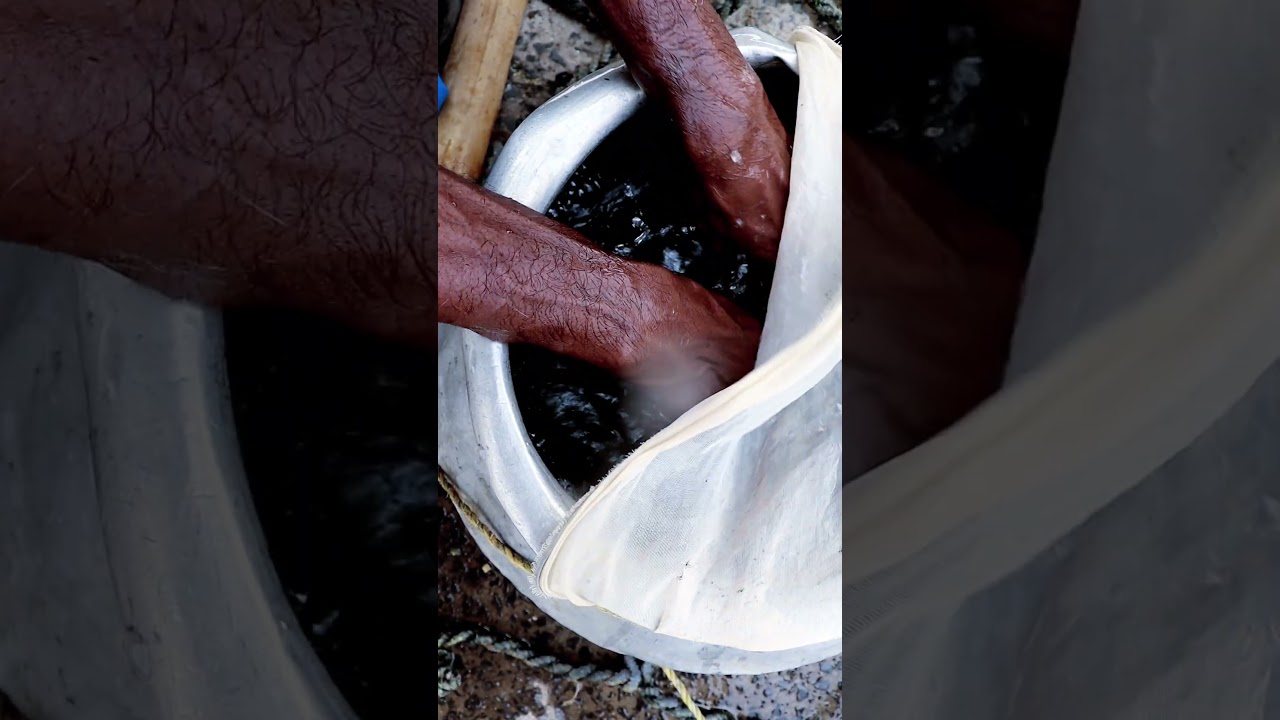 He Bought Indian Major Carps 