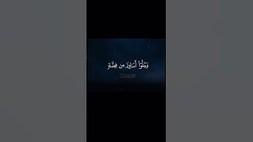 محمد اللحيدان سورة الإنسان 18-22❤️