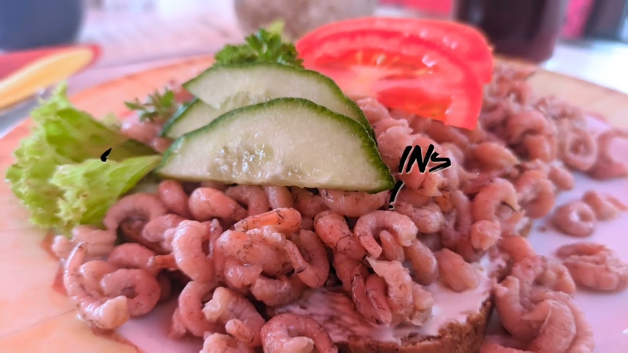 Day 30: from Brunsbüttel to Kollmar in Germany on Eurovelo 12