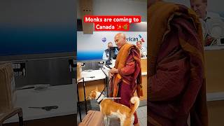 Monks are coming to Canada for the Vesak Celebrations ✨🌿🦮 #alokathepeacedog #walkforpeace #canada
