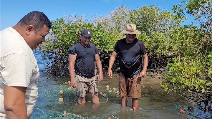 There were many surprises on this fishing trip 😱