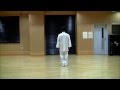 太極拳 42式総合太極拳 背面 竹内健二 竹内太極拳