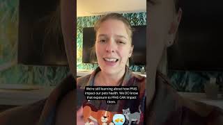 PFAS and Pets
