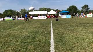 Muse 2017 AWI World Finals Freestyle 2nd Place