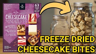 Don't Miss Out on Making the Ultimate Freeze-Dried Cheesecake Bites! Don't Miss Out on Making the Ultimate Freeze-Dried Cheesecake Bites!